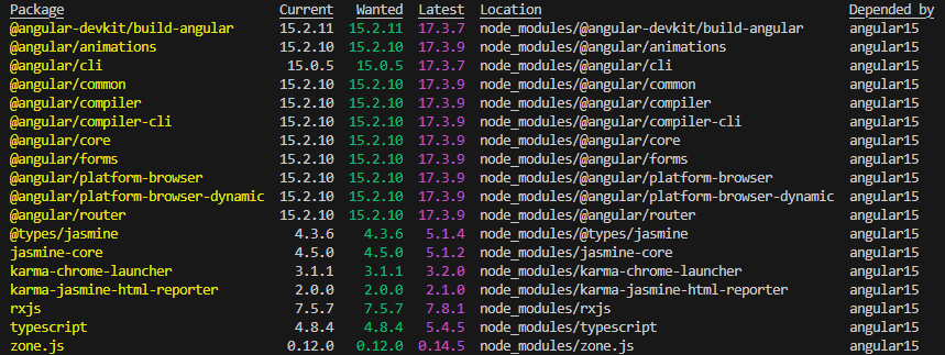 npm outdated con las librerías actualizadas